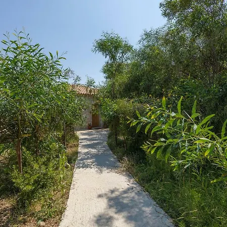 David's - Private Pool & Scenic Surroundings Василикос
